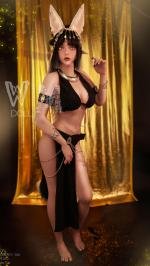 WMDOLL  TPE Dolls  5'5 FT (166CM) With # 432 Head