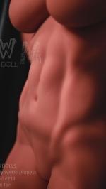 WMDOLL  TPE Dolls5'5 FT (167CM) fitness with head 233#