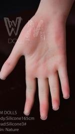 WMDOLL  Silicone dolls  5'5 FT (165CM) WITH S3 # HEAD
